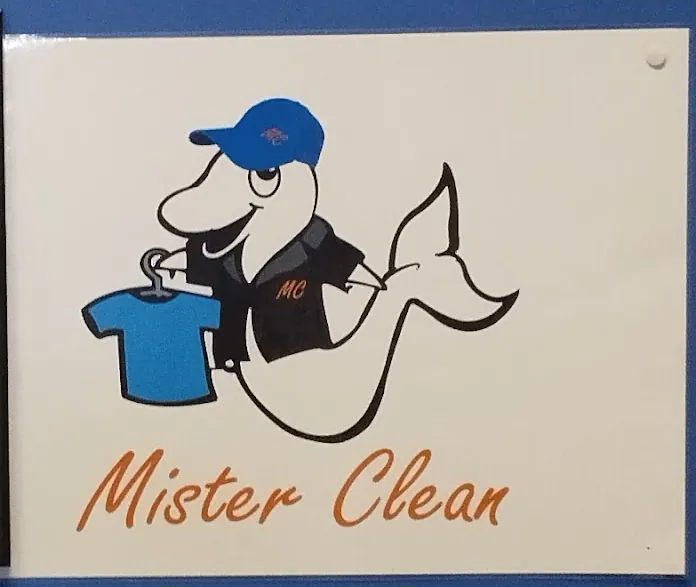 Il logo Mister Clean: un delfino con berretto blu che regge una maglietta